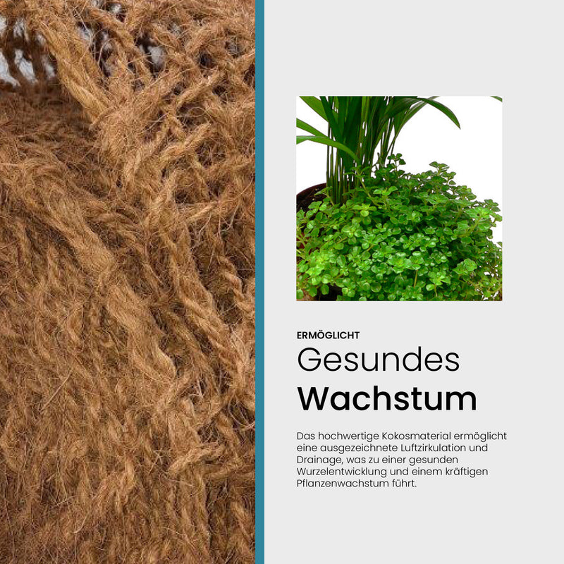 Drei TeichVision Pflanztaschen aus Kokos, ca. 100 cm breit, für den Teich zur Bepflanzung, Amazonas-Grafik im Hintergrund