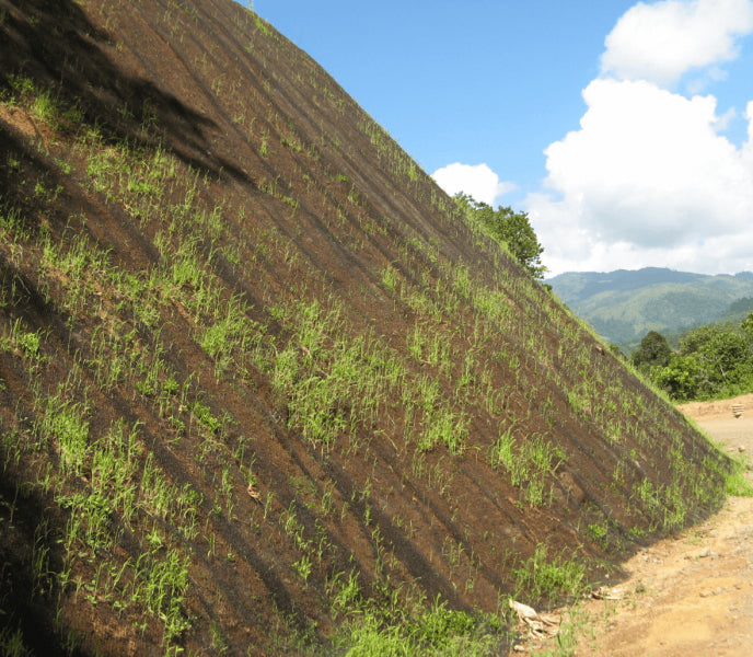 TeichVision Krallmatte – Verbund- & Böschungsmatte für Erosionsschutz am Teichrand - Teichbedarf24