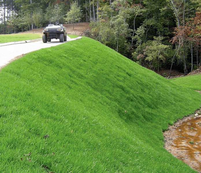 TeichVision Krallmatte – Verbund- & Böschungsmatte für Erosionsschutz am Teichrand - Teichbedarf24